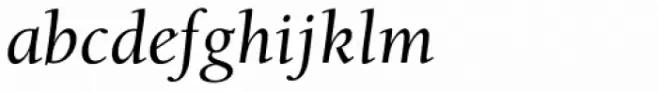 ITC Berkeley Old Style Std Medium Italic
