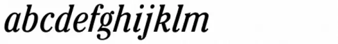 ITC Cheltenham Pro Condensed Book Italic