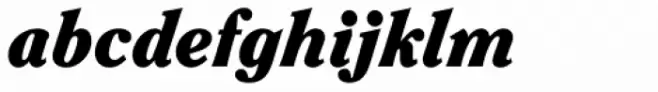 ITC Clearface Pro Black Italic