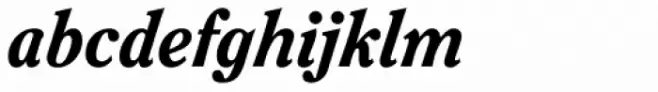 ITC Clearface Pro Heavy Italic