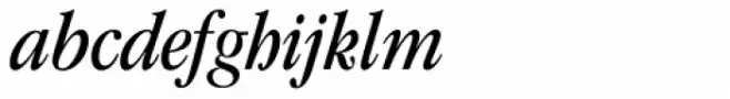 ITC Garamond Std Book Condensed Italic
