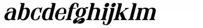 Italic Steal Italic