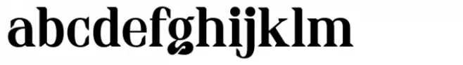 Italic Steal Regular