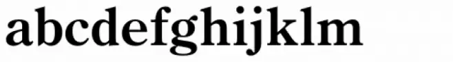 Iwata Mincho Pro Extrabold
