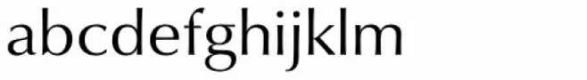 Iwata Souchou NK Pro Medium
