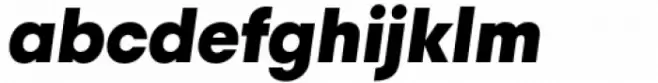 Izmir Black Italic