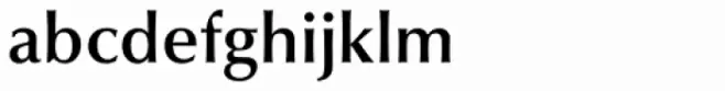 Jalal Light