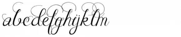 Janda Celebration Script