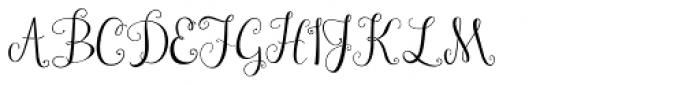 Janda Stylish Monogram