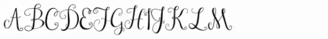 Janda Stylish Monogram