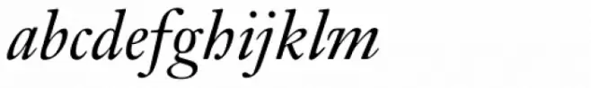 Janson Text 56 Italic