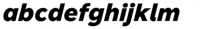 Jarvis Black Italic
