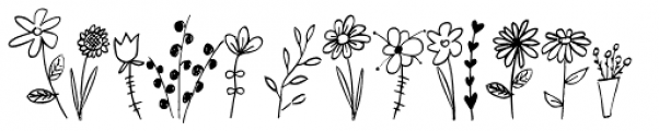 Jasminum Extra