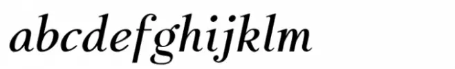 Jasper Squeeze Medium Italic