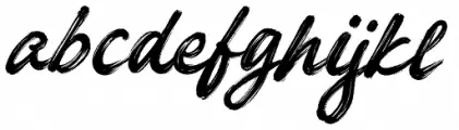 Jeck Lady Regular