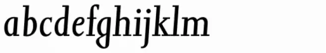 Jessica Serial Italic