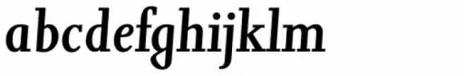 Jessica Serial Medium Italic