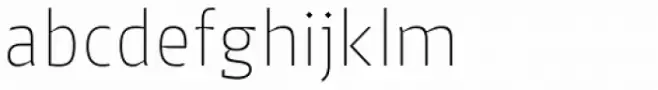 Jheronimus Thin