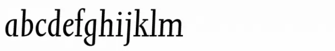 Joanna Italic Expert