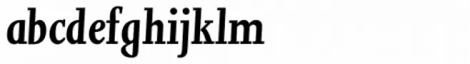 Joanna MT Bold Italic