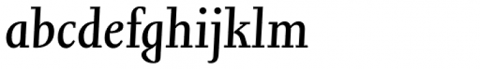 Joanna Nova Book Italic