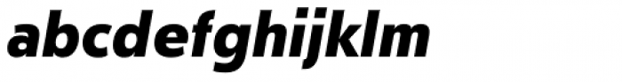Journal Sans Old School Black Italic