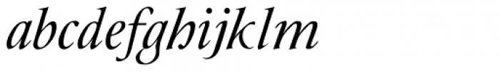 JY Rebeca New Italic