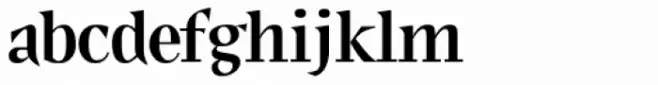 JY Shapa Bold
