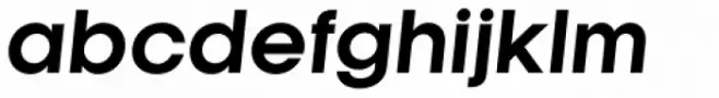 Kamerik 105 Cyrillic Bold Oblique