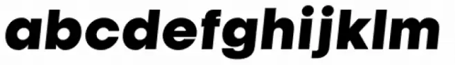 Kamerik 105 Cyrillic Heavy Oblique