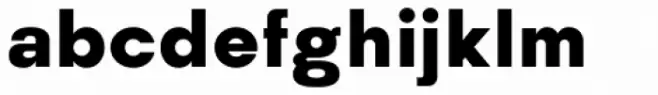 Kamerik 205 Text Heavy