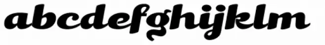 Kari Pro Wide Italic