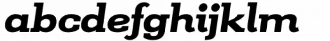 Kate Slab Pro Expanded 850 Heavy Italic