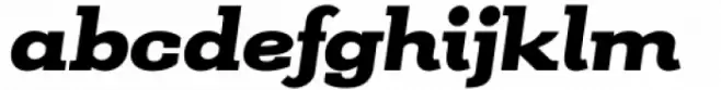 Kate Slab Pro Expanded 900 Black Italic