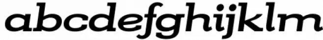 Kate Slab Pro Ultra Expanded 800 Extra Bold Italic