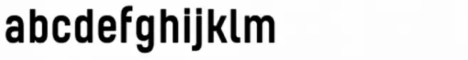 Kelpt A1 Medium