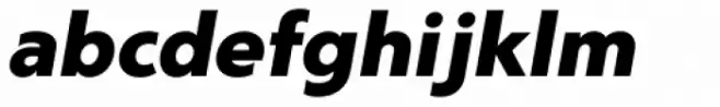 Kirshaw Black Italic