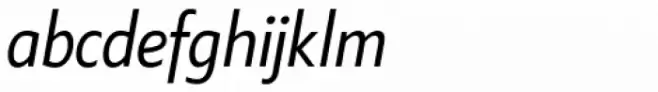 Klein Condensed Book Italic