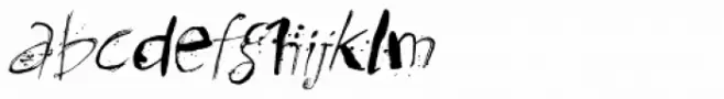 Kodama Forest Italic