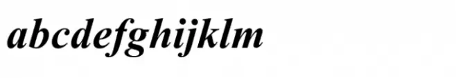 Kokila Bold Italic