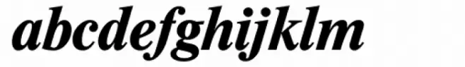 Kresson Black Italic