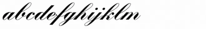 Kuenstler Script Black