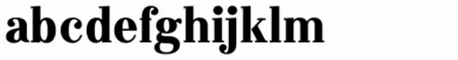 Labernia Condensed Black