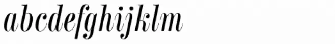 Labernia TitCond Book Italic