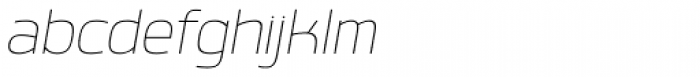Labrador A Thin Italic