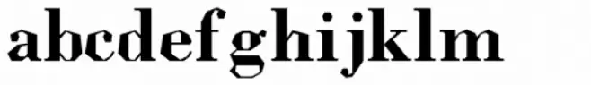 Ladoni Bold