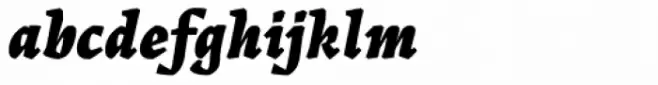 Landa Black Italic