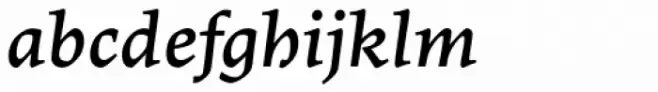 Lapture Caption Italic