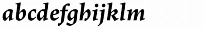 Lapture Display Bold Italic