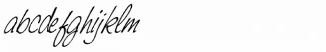 Laredo Pro Italic